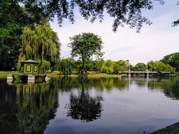 Boston Public Garden